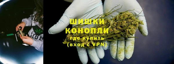 PSILOCYBIN Богородицк